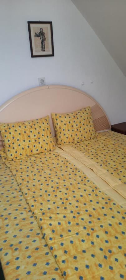 Privatni Smestaj Nanica Mataruska Banja Εξωτερικό φωτογραφία