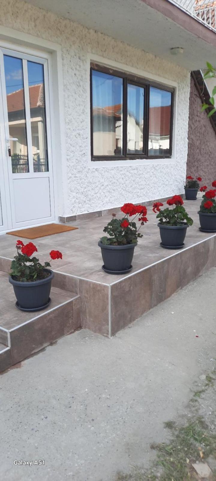 Privatni Smestaj Nanica Mataruska Banja Εξωτερικό φωτογραφία